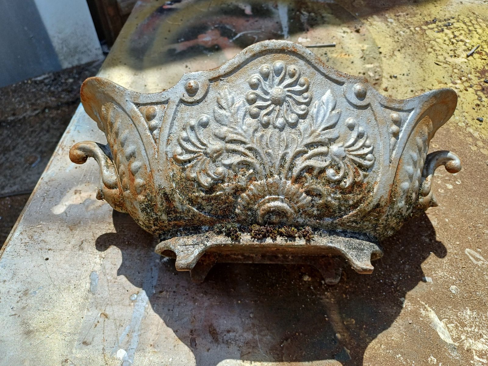 194.0 3 Cast Iron Planters 1900 From Charleville   Mézières Rocaille Style photo
