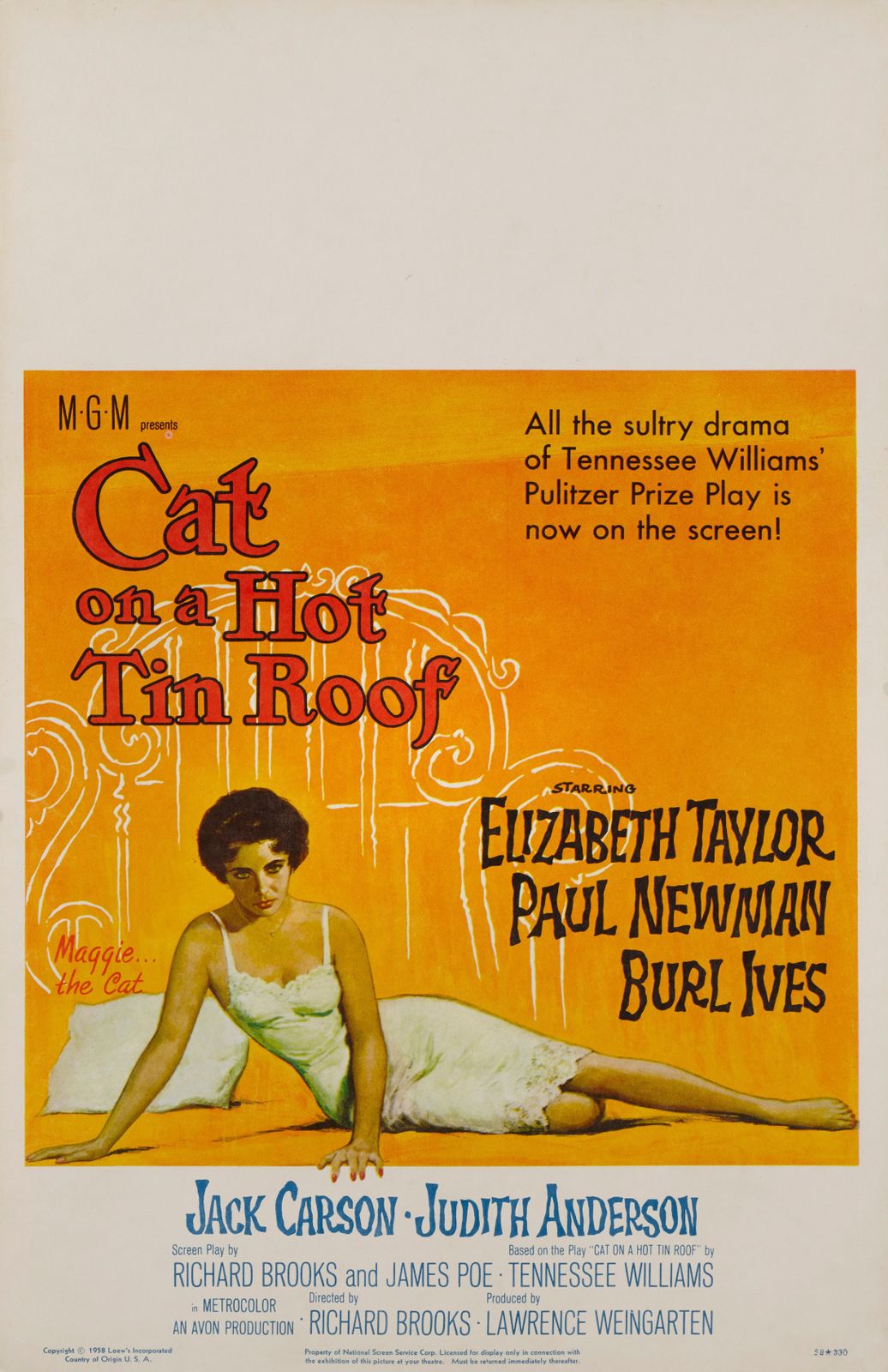Cat On A Hot Tin Roof photo Art