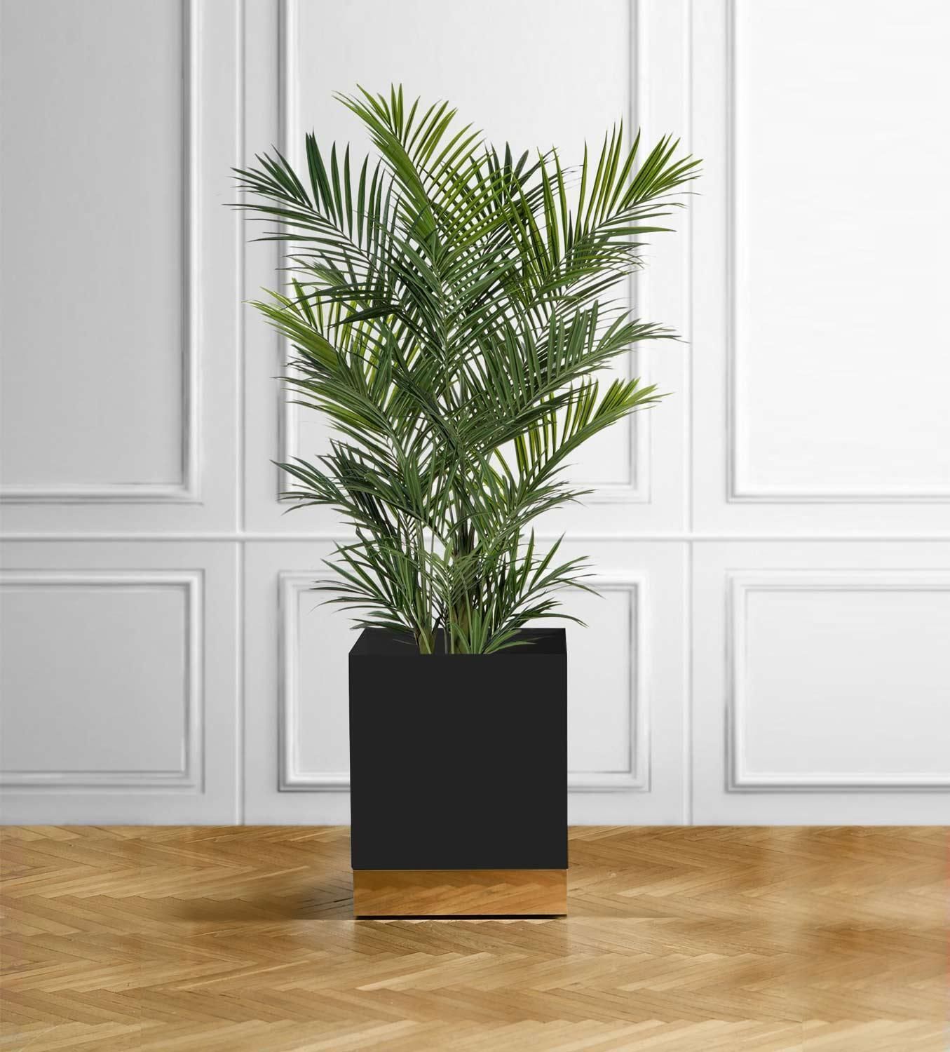 Black Enamelled Metal Vase Holder With Brass Details And Invisible Wheels photo Home Decor