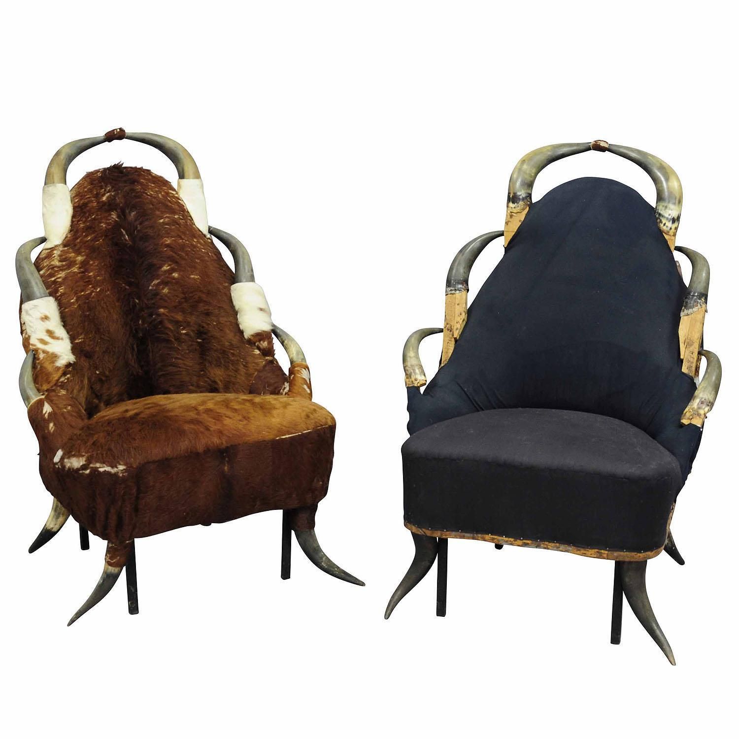Great Antique Horn Chairs, Austria Ca. 1870 photo furniture