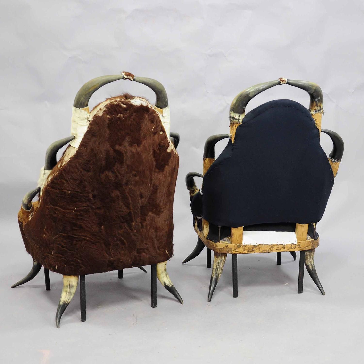 Great Antique Horn Chairs, Austria Ca. 1870 photo Furniture