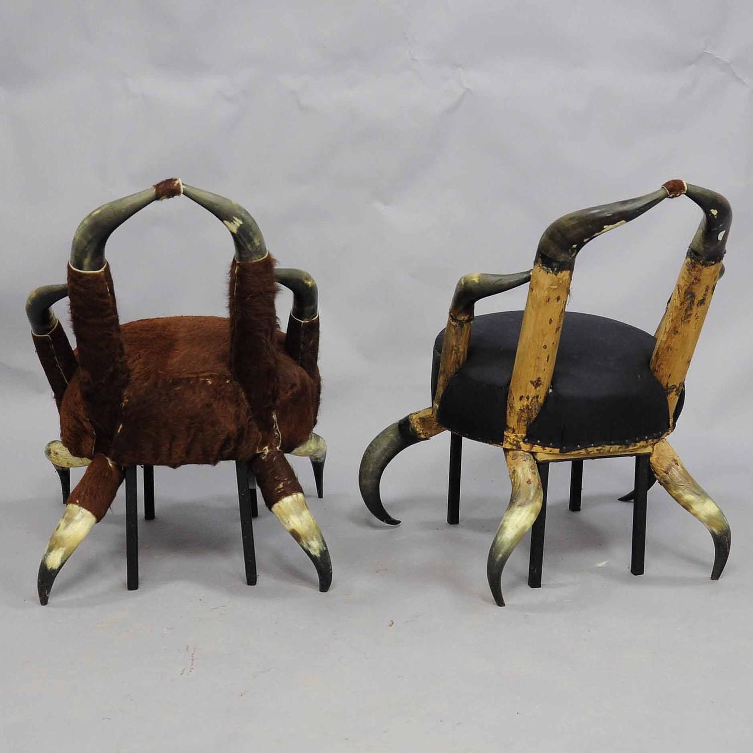 Pair Of Small Antique Horn Chairs, Austria Ca. 1870 photo Furniture