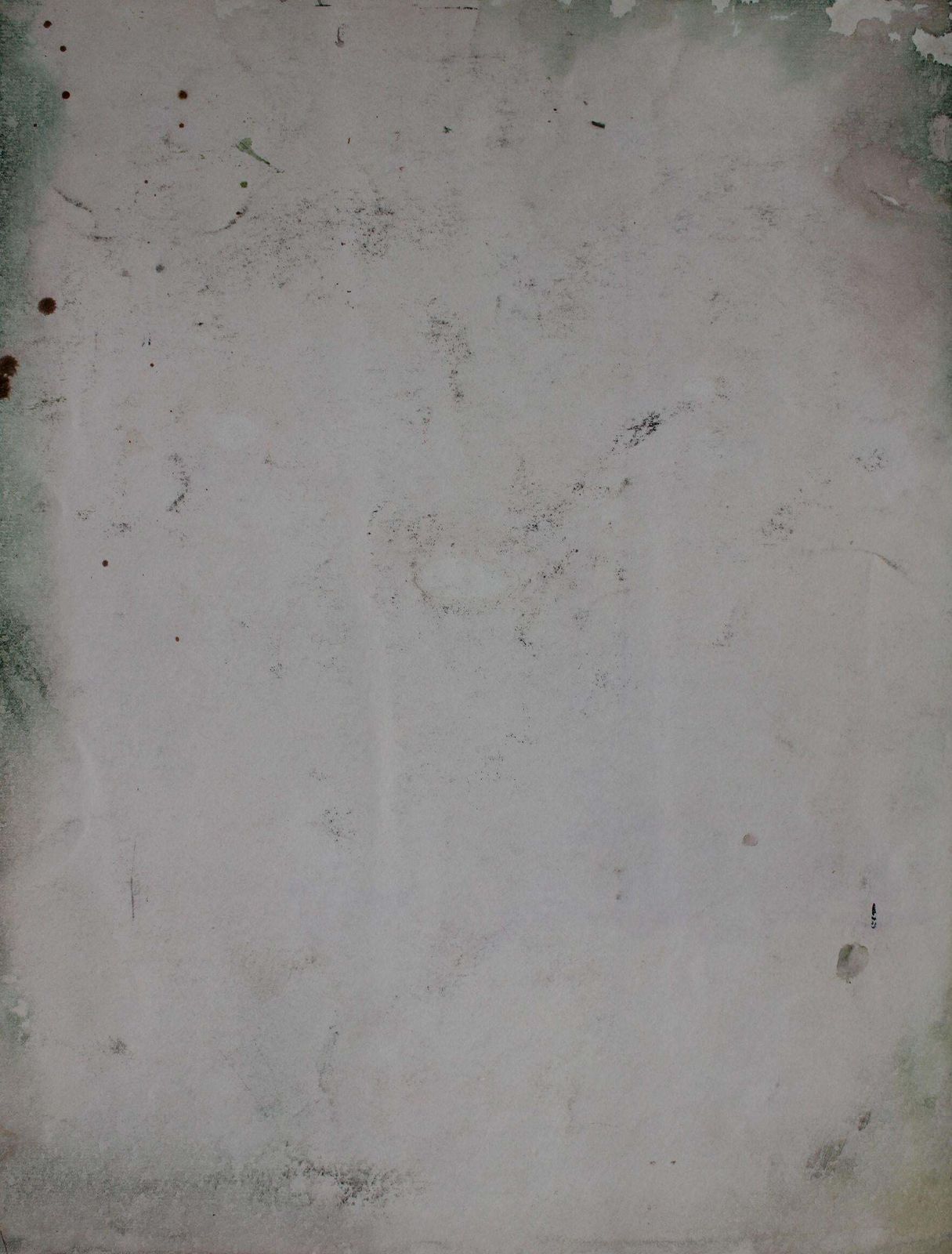 Dzidra Baumachamomiles  1985. Paper/Watercolor, 52x40 Cm1985 photo 389.0