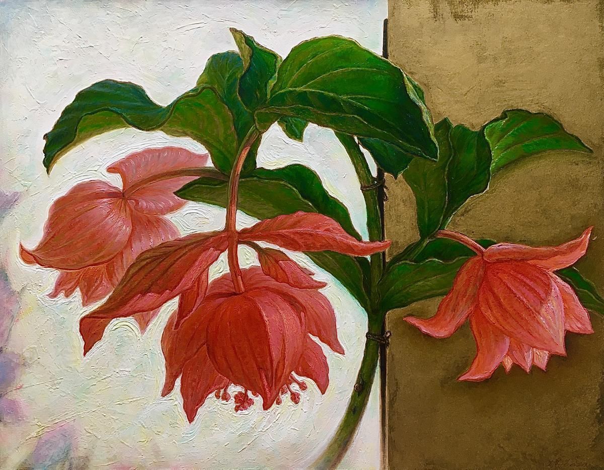 Igor Maikovmedinilla Magnifica  Oil/Canvas, 70x90 Cm, 20232023
