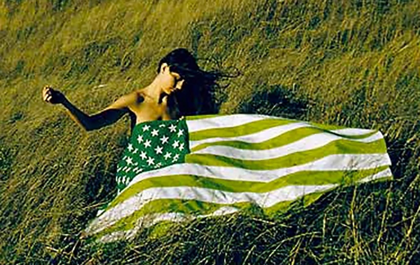 Art Kane C Print Art Kane   Estate Green Flag, 1970 1970 photo furniture