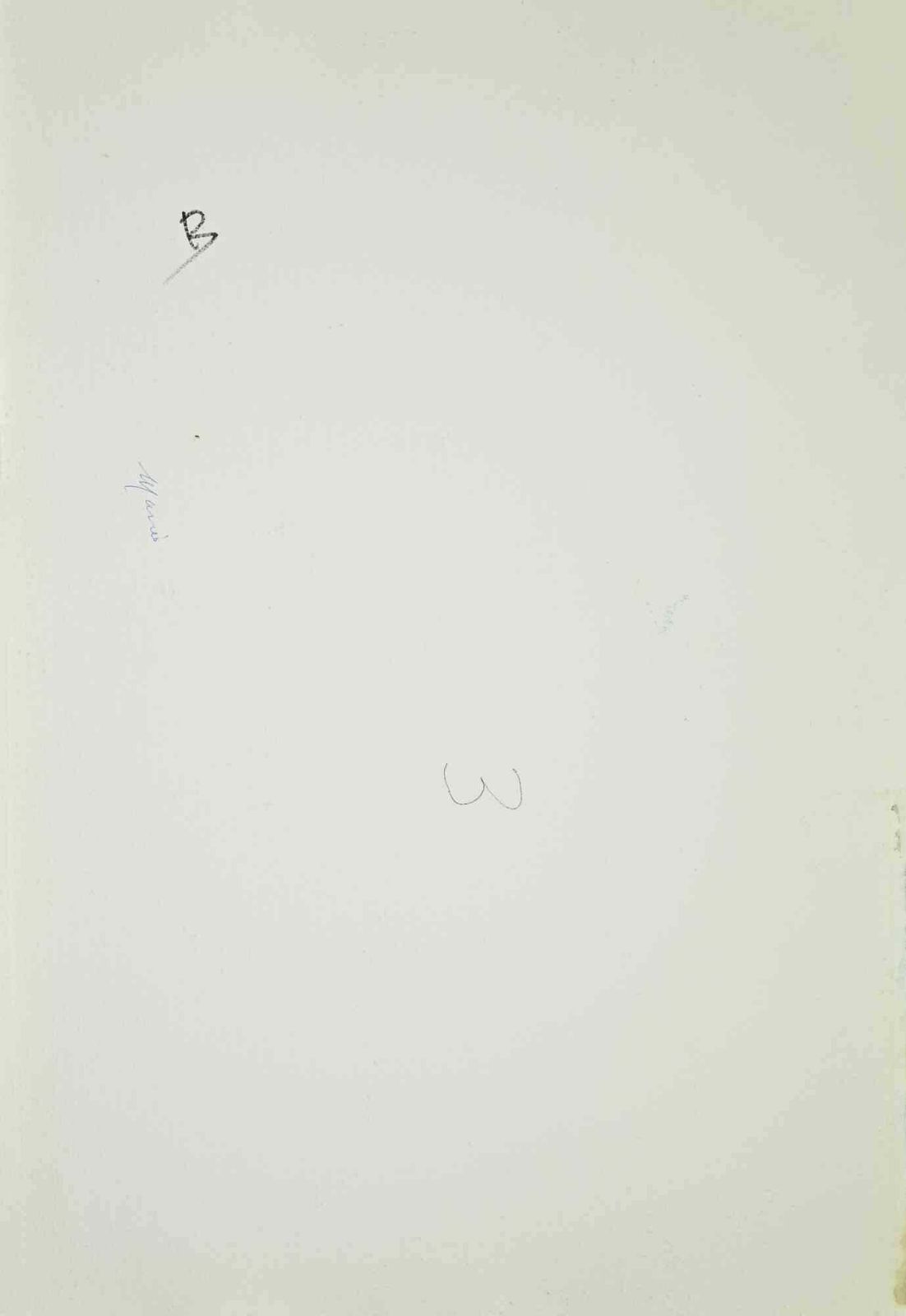 Carlo Ravagnanbouquet Of Flowers   Drawing By Carlo Ravagnan   1960s1960s photo furniture
