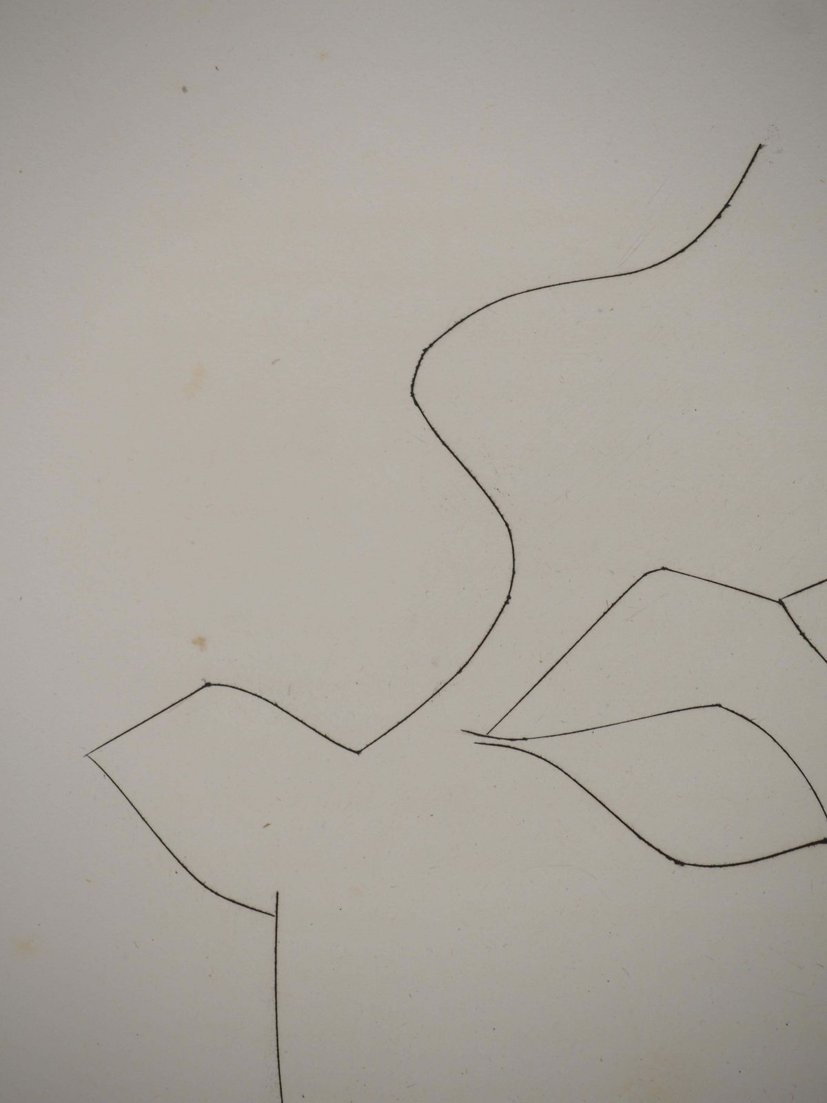 Pablo Picassocarmen, Portrait Of A Bull   Original Etching (Cramer #52)1949 photo vinterior