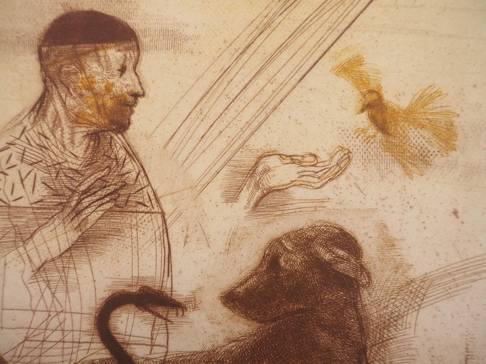 Miguel Condeveterinarian, Animal Lover   Original Etching, Handsigned & Numbered /801981 photo Art