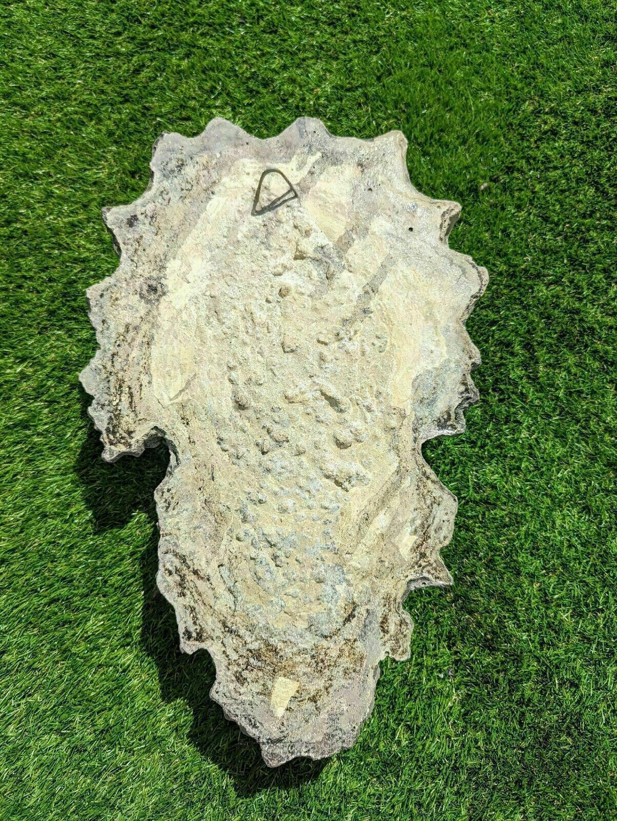 Devonshire Greenman Vintage Garden Face English Stone 0226. photo buy
