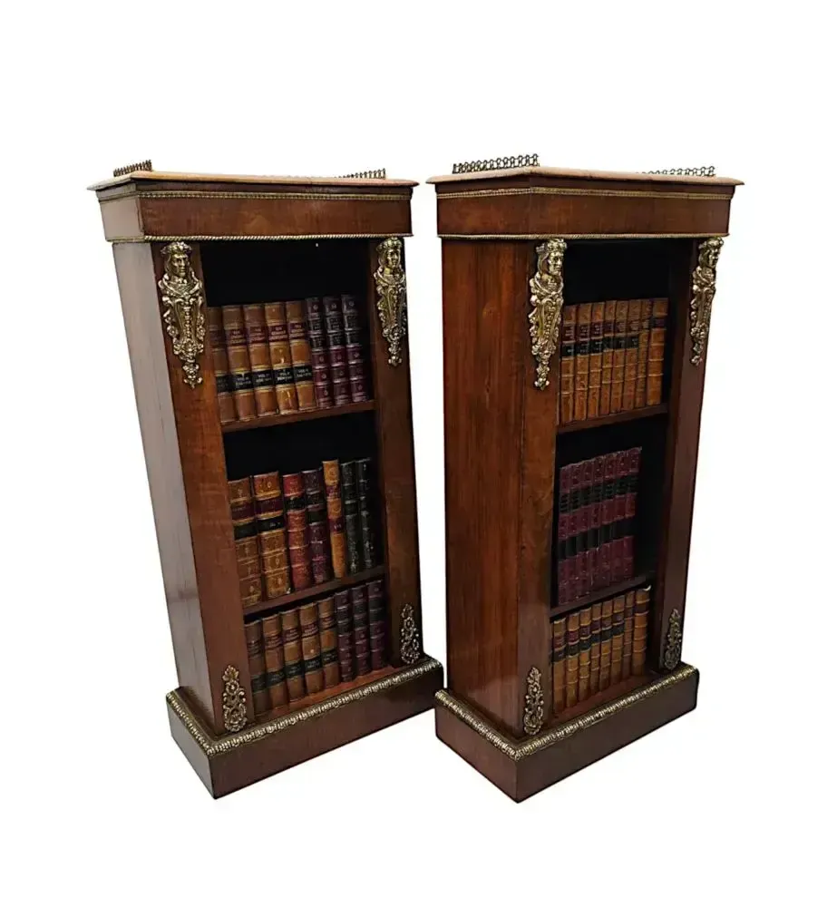 A Very Rare Pair Of 19th Century Bookcases With Ormolu Mounts photo for sale