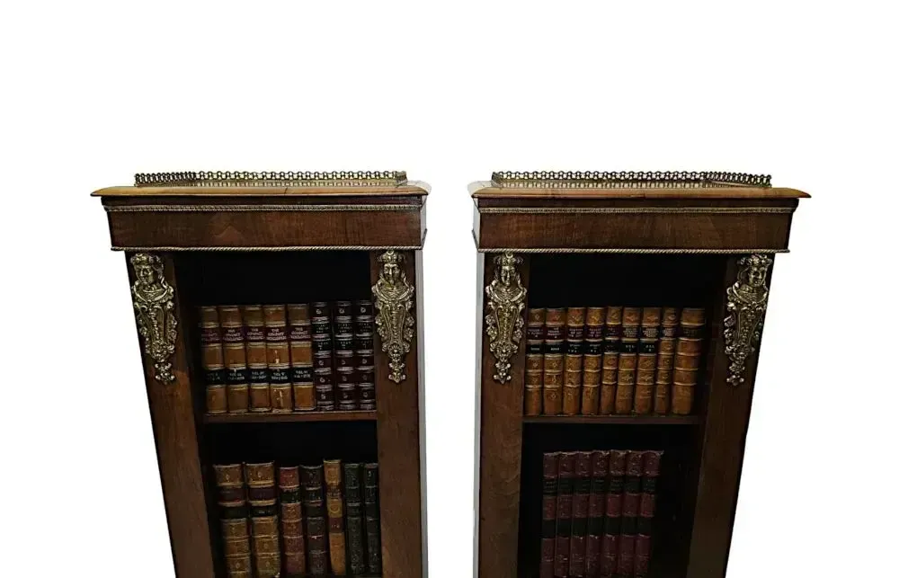 A Very Rare Pair Of 19th Century Bookcases With Ormolu Mounts photo 6057.3333