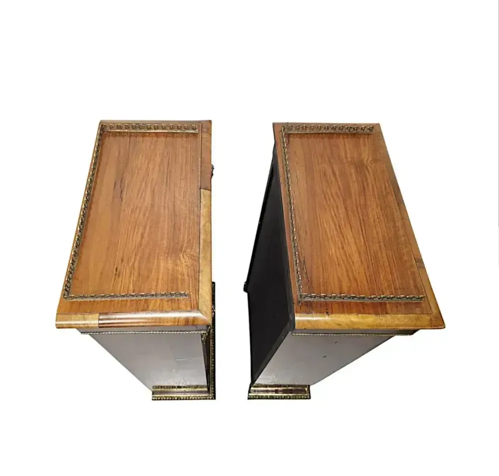 photo for sale A Very Rare Pair Of 19th Century Bookcases With Ormolu Mounts