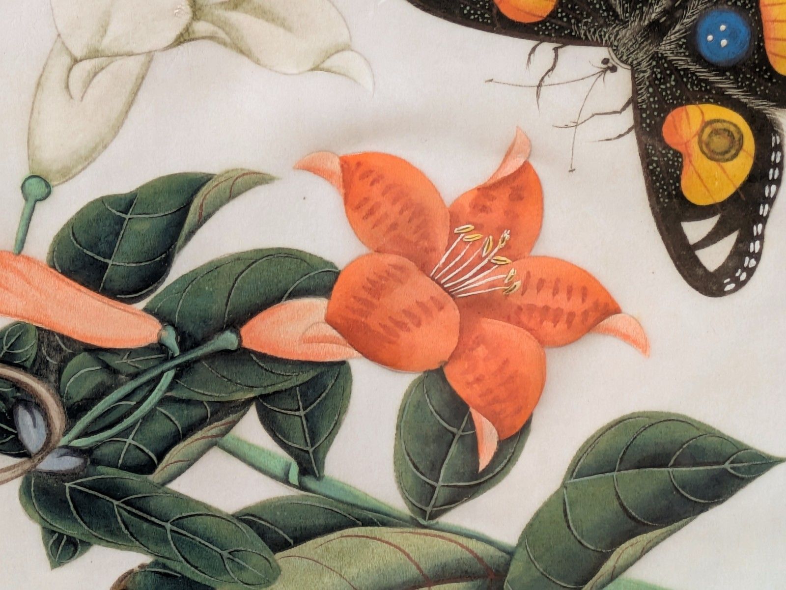 Antique Chinese Watercolour Painting Butterflies & Blossom photo for sale