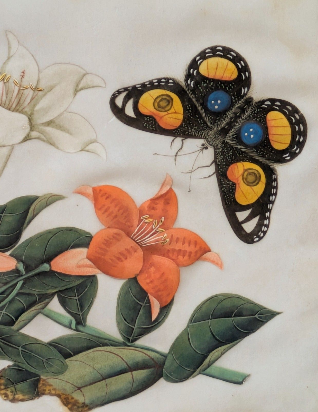 Antique Chinese Watercolour Painting Butterflies & Blossom photo Art