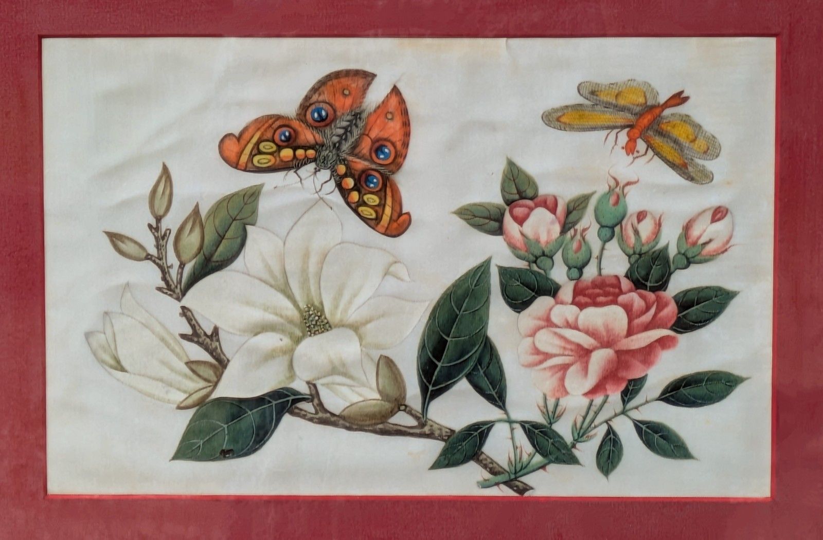 Antique Chinese Watercolour Painting Butterflies And Blossoms photo Art