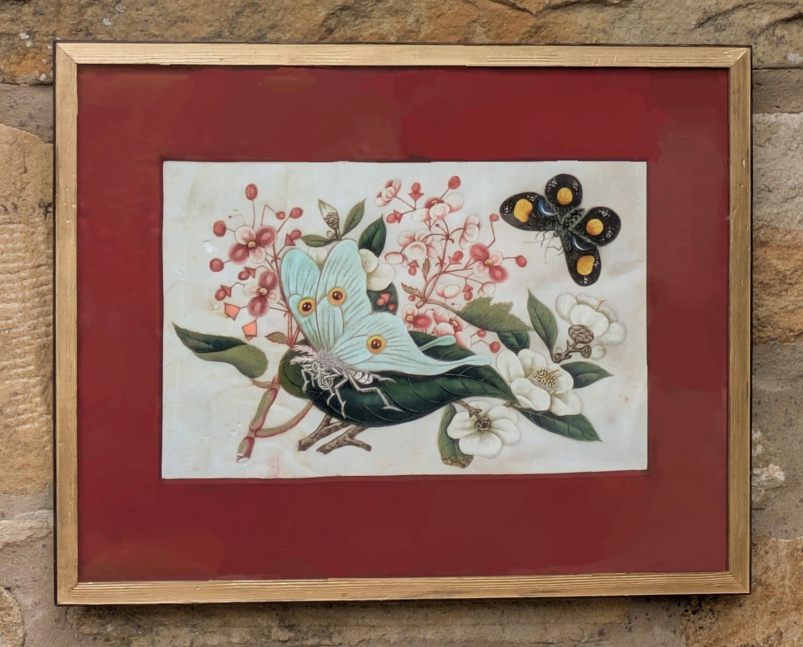 Antique Chinese Watercolour Painting Butterflies And Blossoms