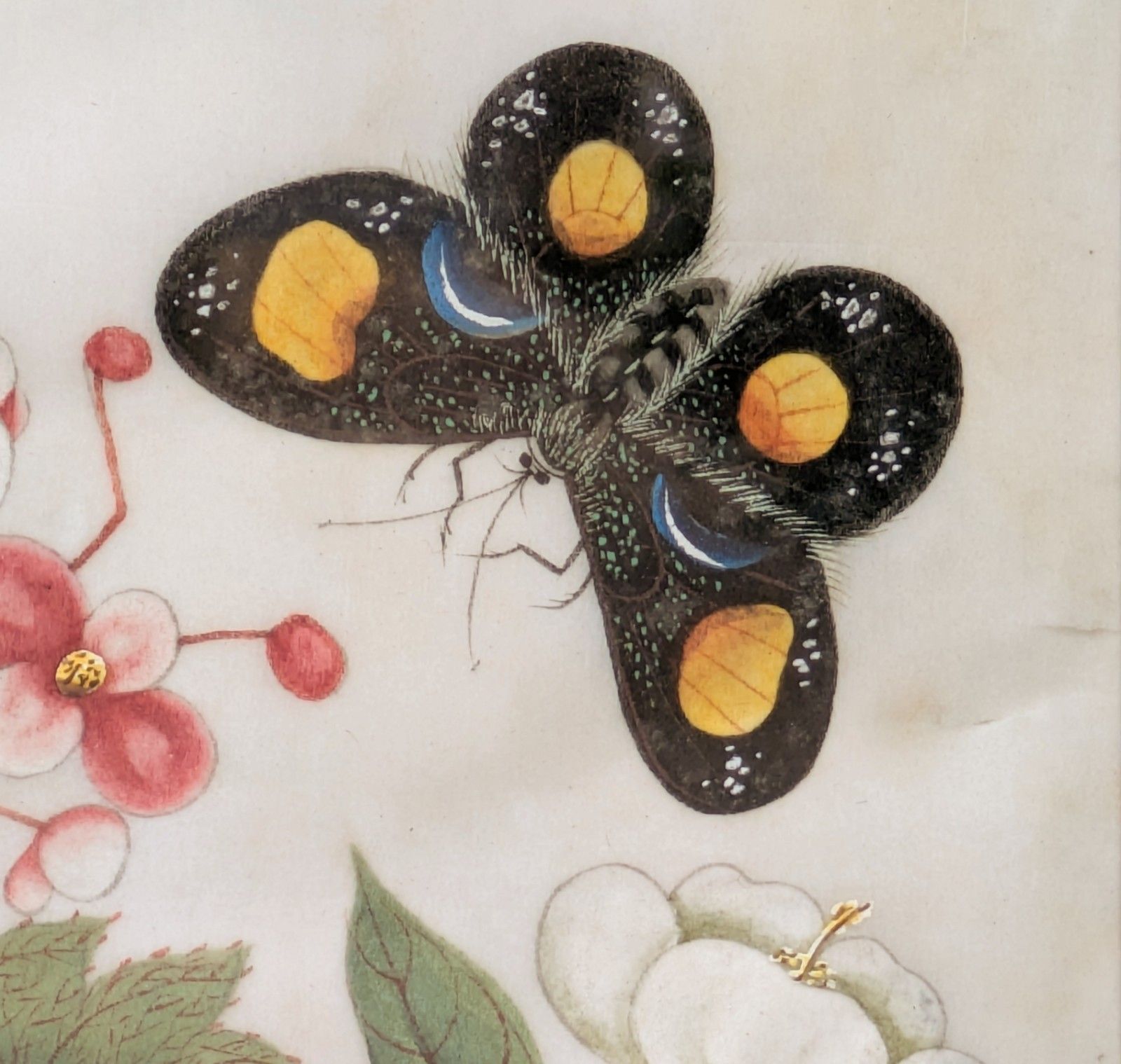 Antique Chinese Watercolour Painting Butterflies And Blossoms photo vinterior