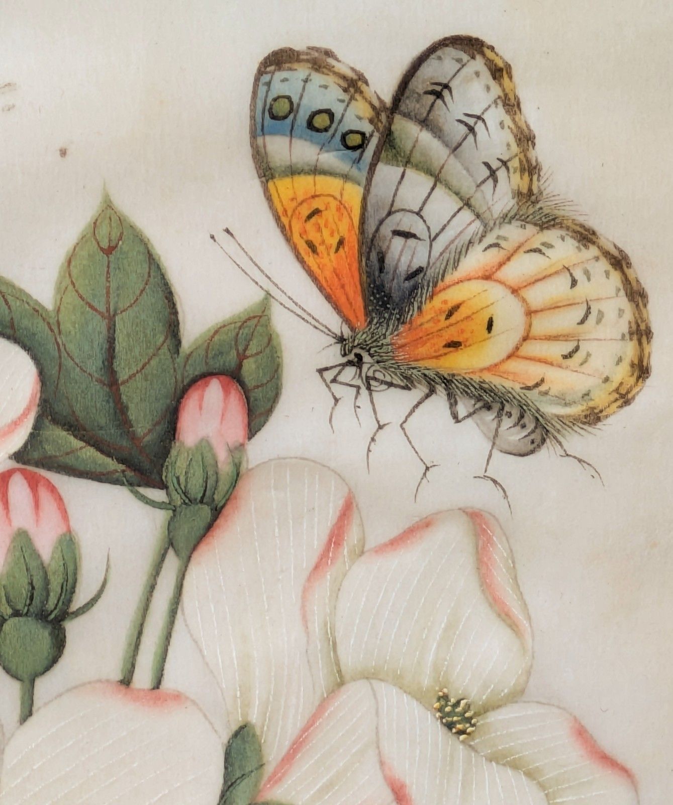Antique Chinese Watercolour Painting Butterflies And Blossoms photo for sale