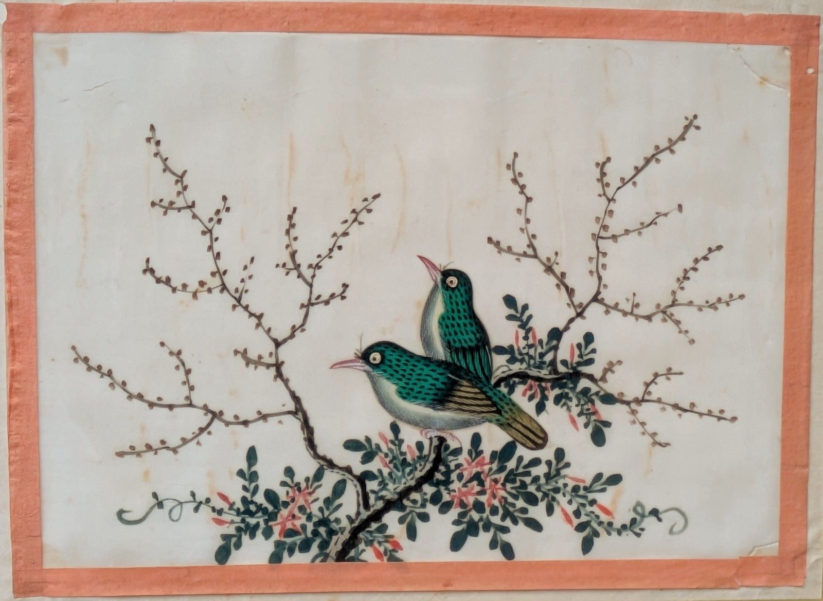 Antique Chinese Watercolour Painting Birds Among Branches photo Art