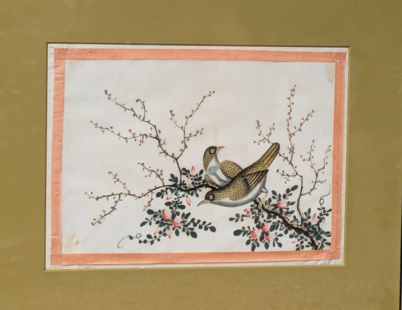 Antique Chinese Watercolour Painting Birds Among Branches photo Art