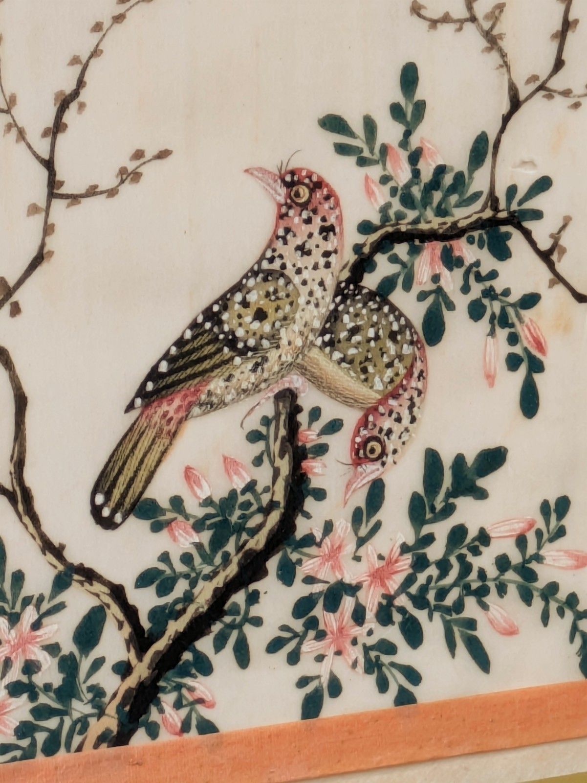 Antique Chinese Watercolour Painting Birds Among Branches photo Art