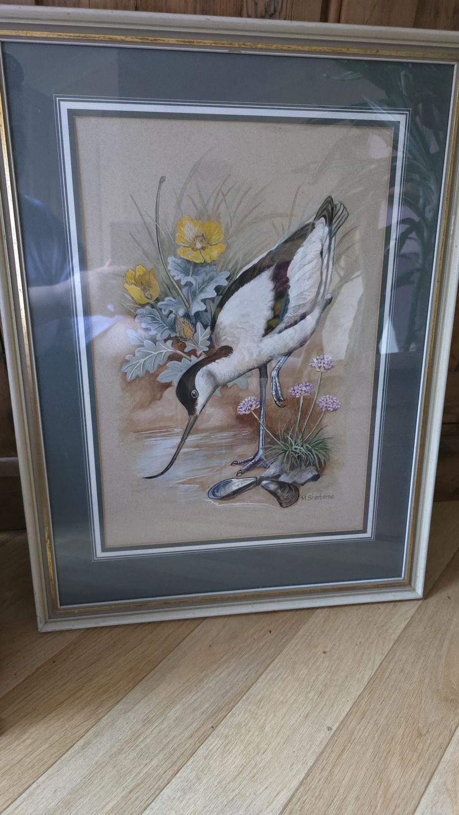 Vintage M Sherborne Signed Ornithology Watercolour Painting Of A Avocet 1971 photo furniture