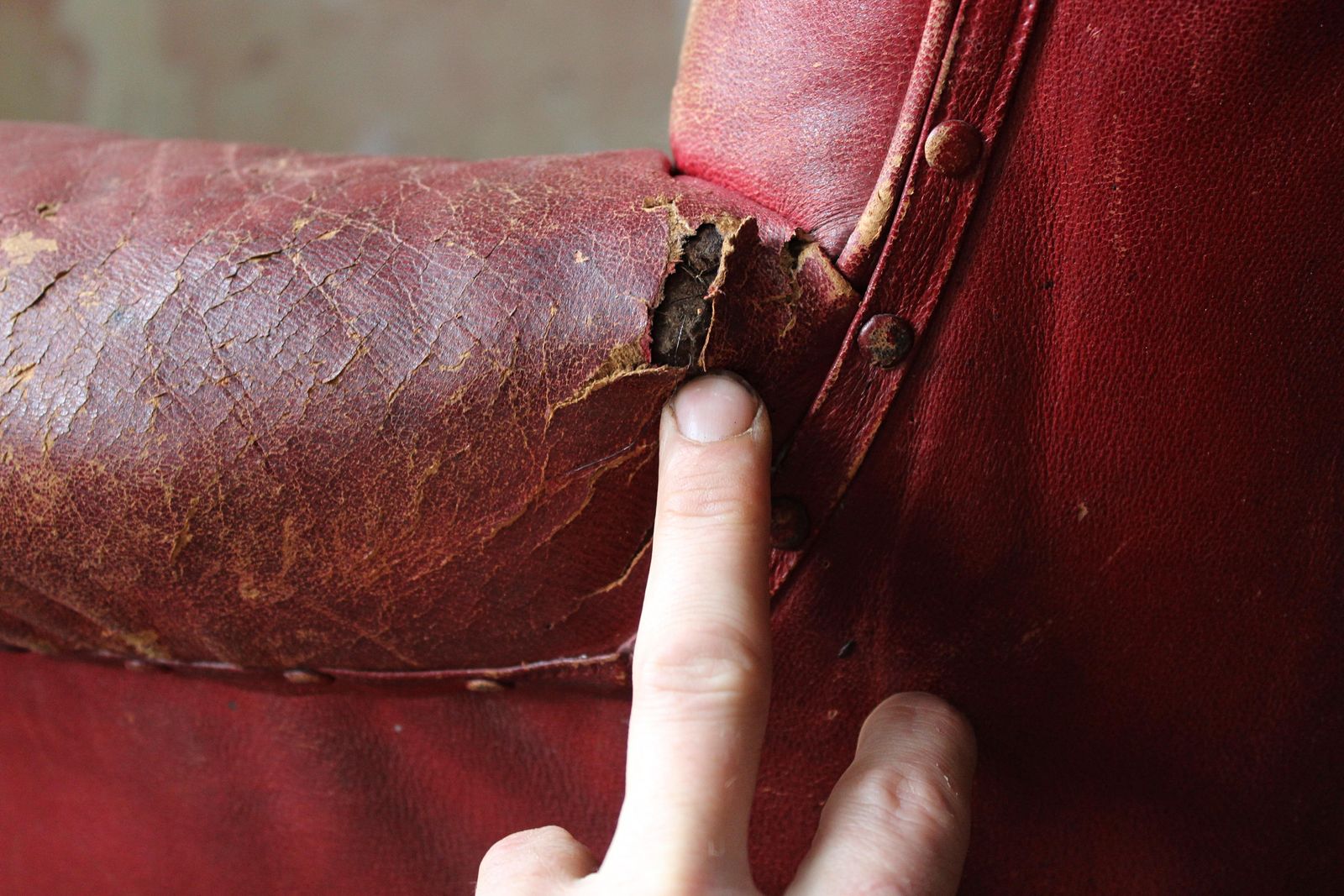 Furniture Circa 1845 Robert Strahan & Co Ireland Dublin Red Leather Armchair, Elveden Hall photo