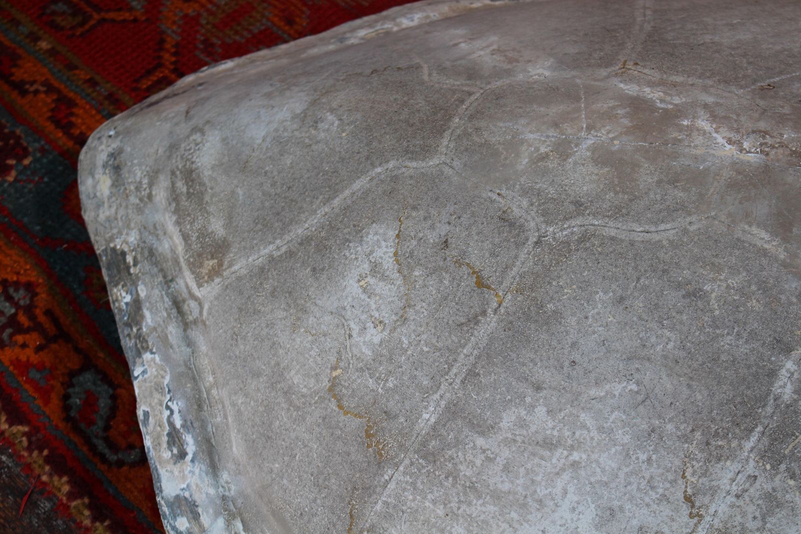 Art Huge Faux Carapace Giant South American Amazonian River Turtle Shell photo
