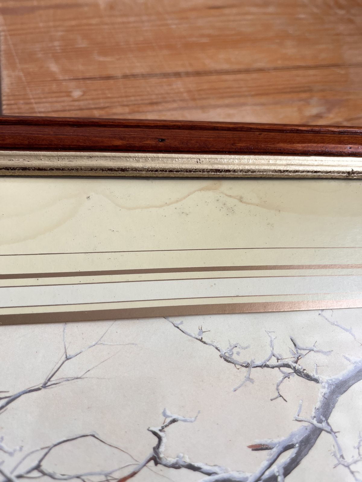 The Lone Stag By H. N. Christiansen – Framed Wildlife Print