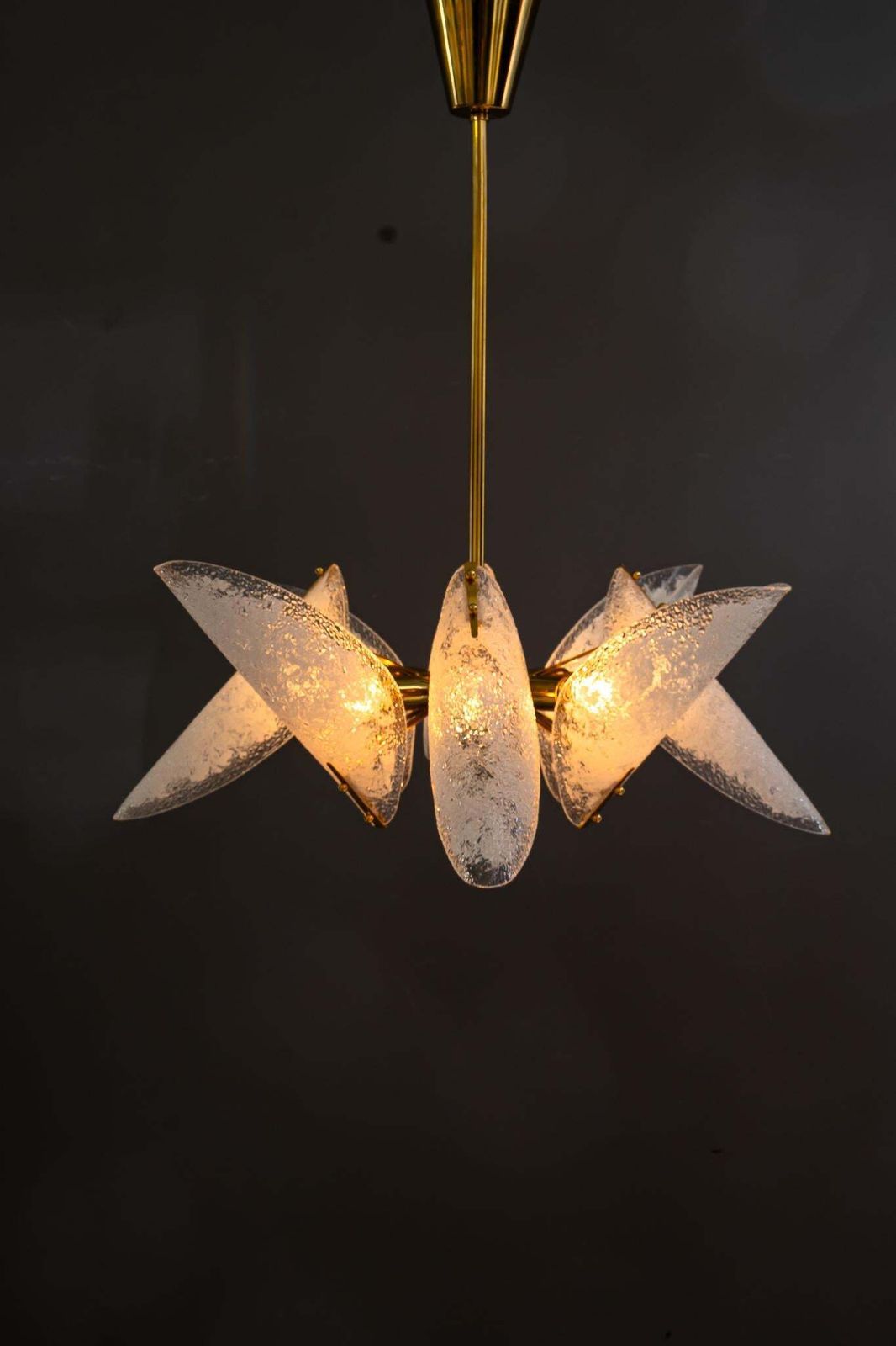 Lighting Rupert Nikoll Chandelier With Original Lucite Shades Vienna Around 1960s photo