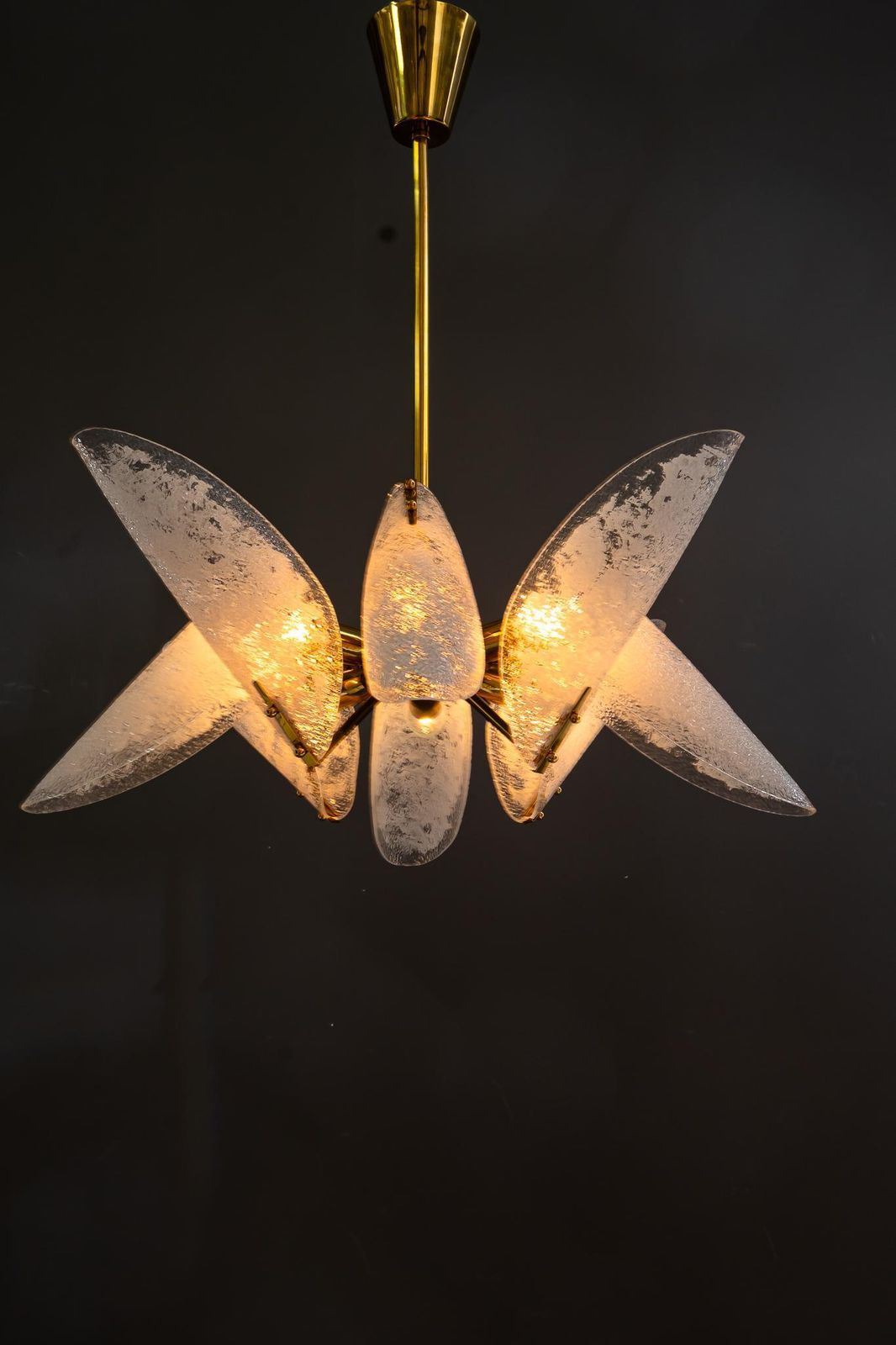 photo buy Rupert Nikoll Chandelier With Original Lucite Shades Vienna Around 1960s