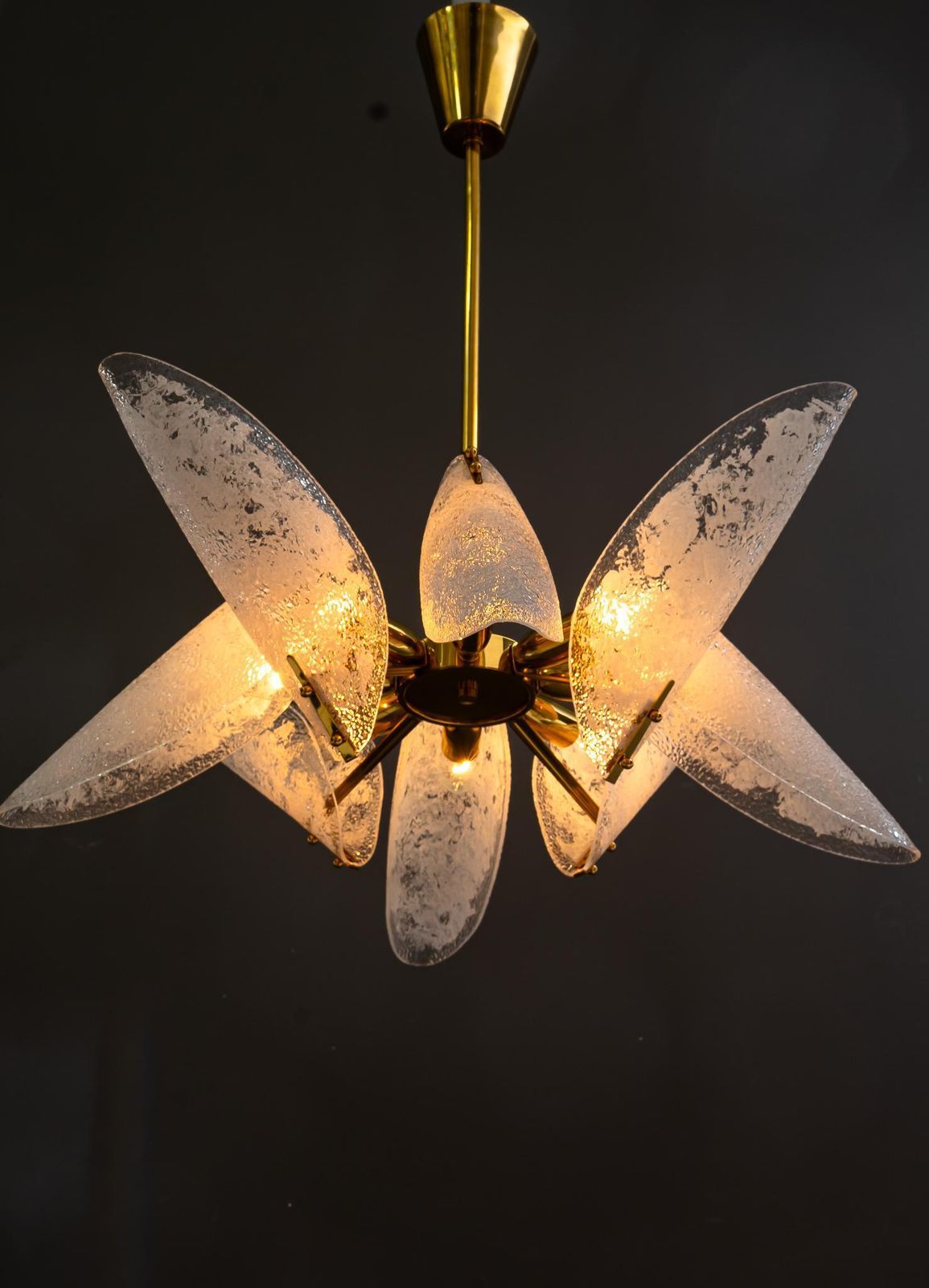 photo vintage Rupert Nikoll Chandelier With Original Lucite Shades Vienna Around 1960s