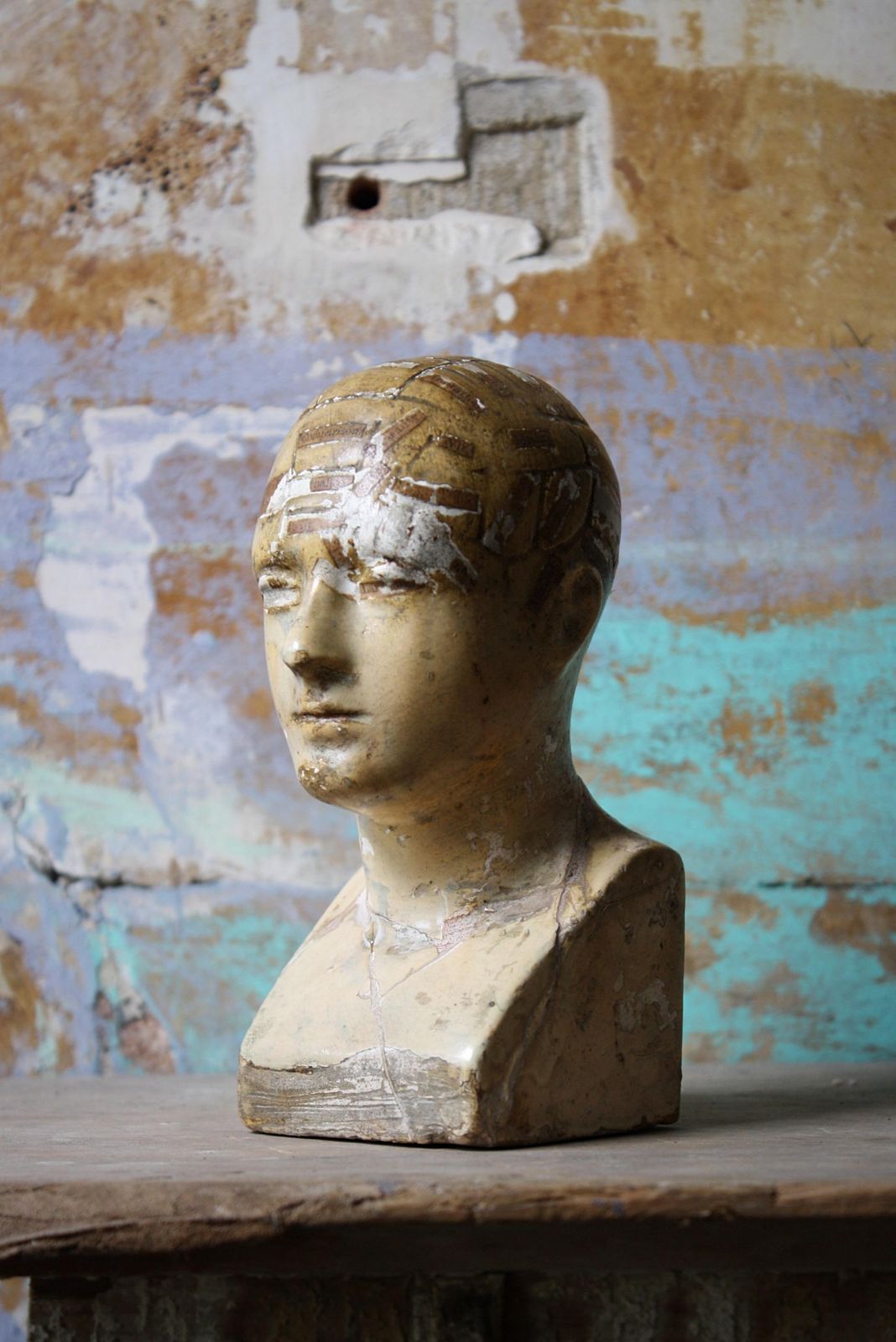 19th Century Plaster Phrenology Bust By Vago Of London, 1869 photo buy