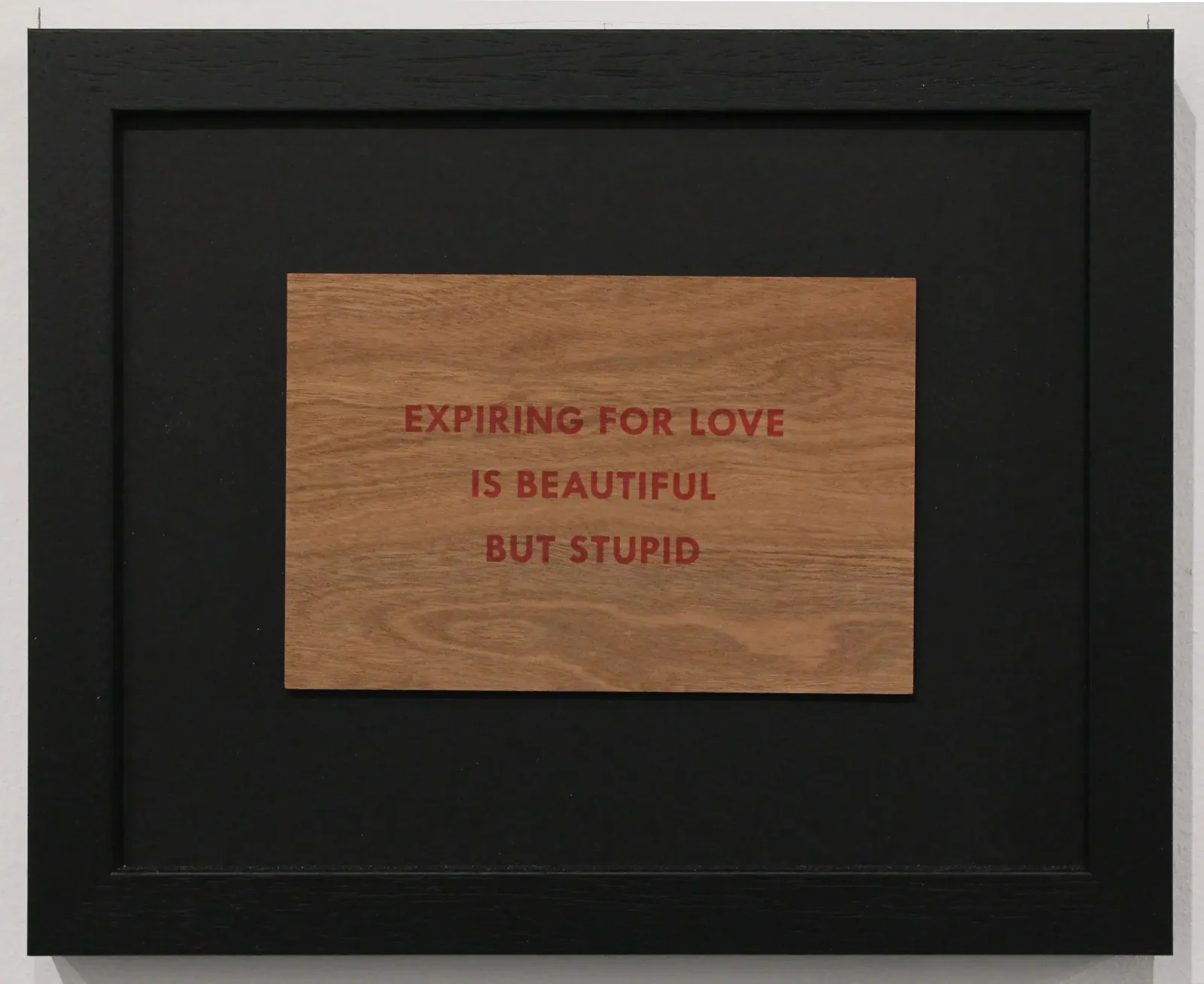 Jenny Holzer, Truism 'Expiring For Love Is Beautiful But Stupid', 1994