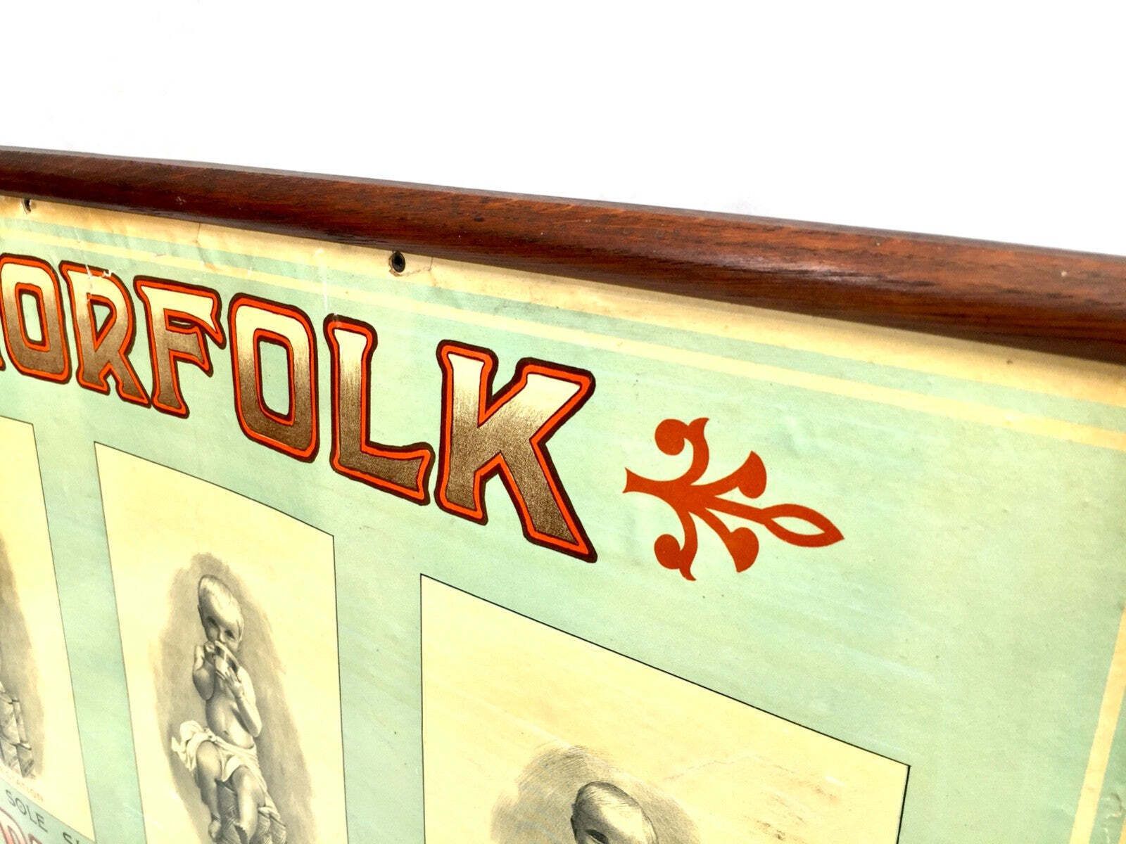 Antique Advertising Shop Display Promotional Showcard Norfolk Food Of Strength photo buy