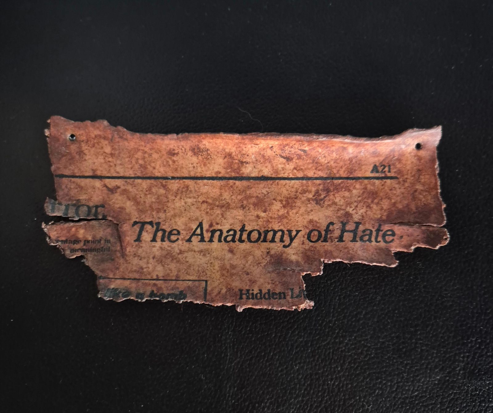 Jonathan Seliger, "Editorial"   The Anatomy Of Hate, 1994, Mixed Media photo furniture