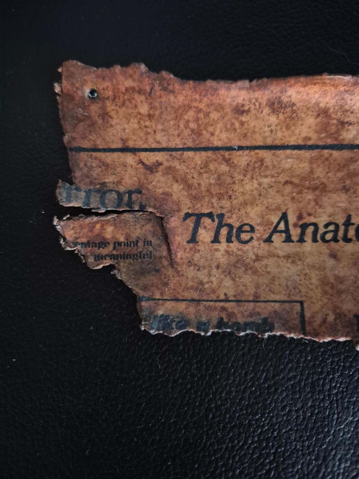 Jonathan Seliger, "Editorial"   The Anatomy Of Hate, 1994, Mixed Media photo for sale