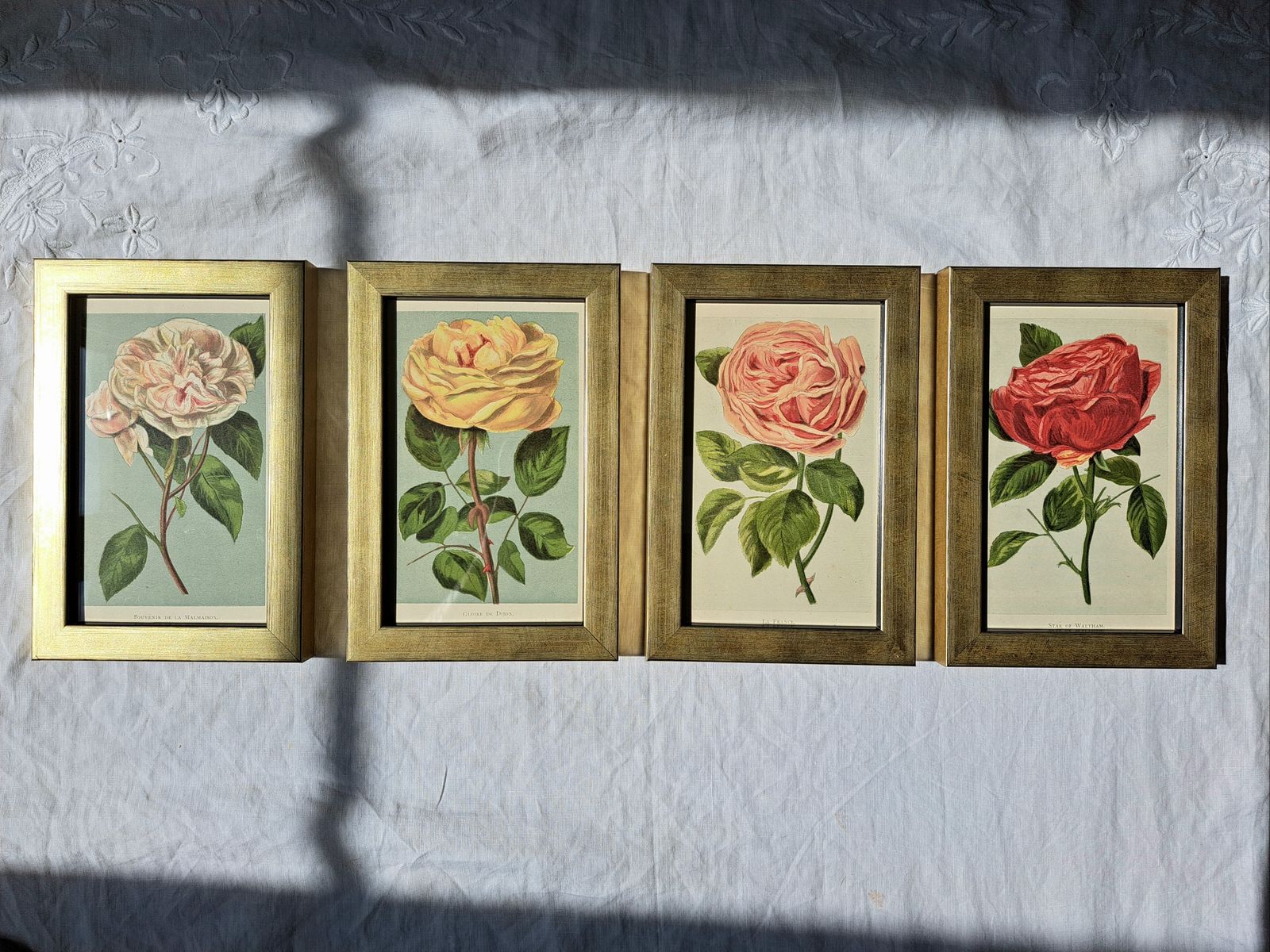 Antique Book Plates In Custom Frames | Colour Illustrations Of Old Roses | Set Of Four photo furniture