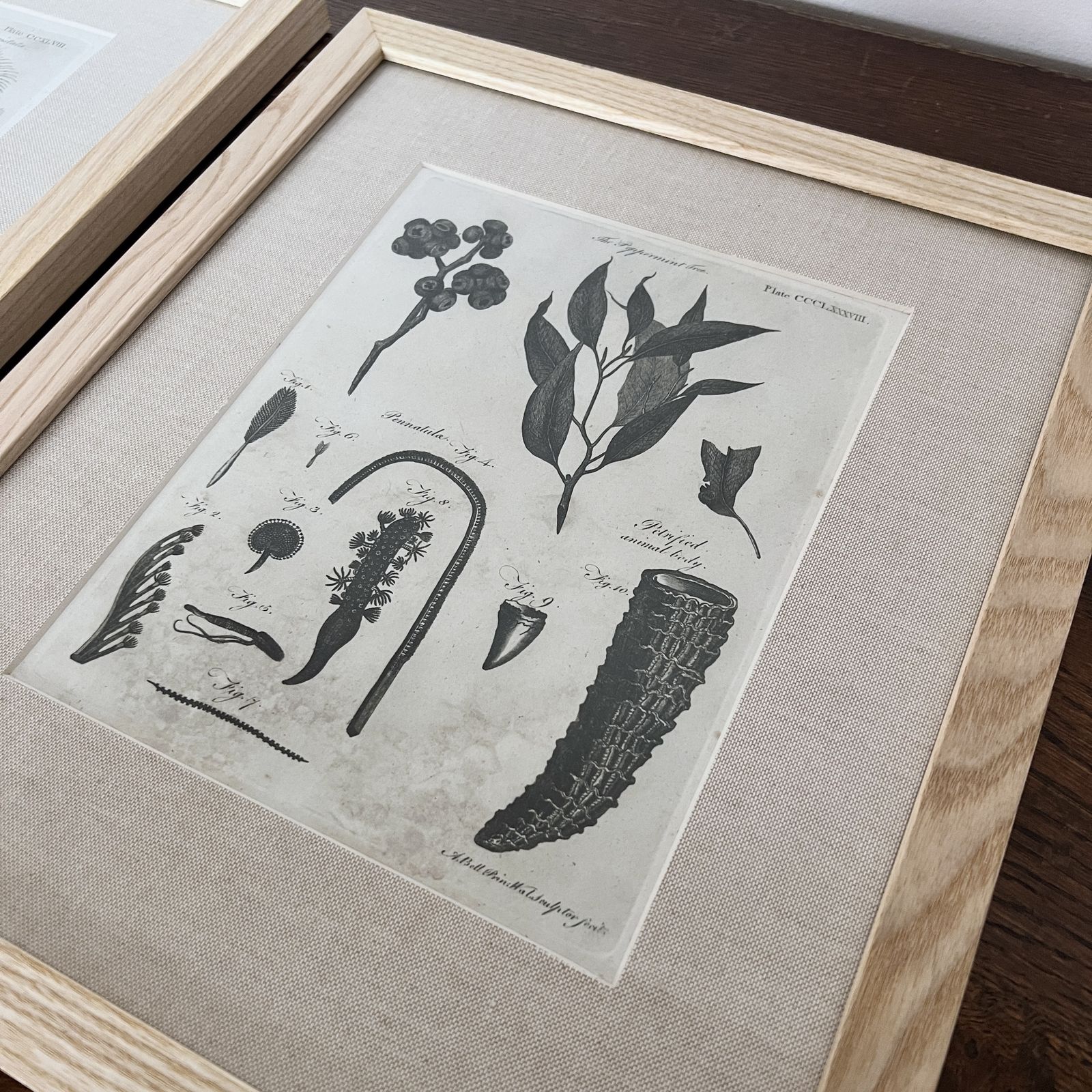 Framed Prints photo for sale