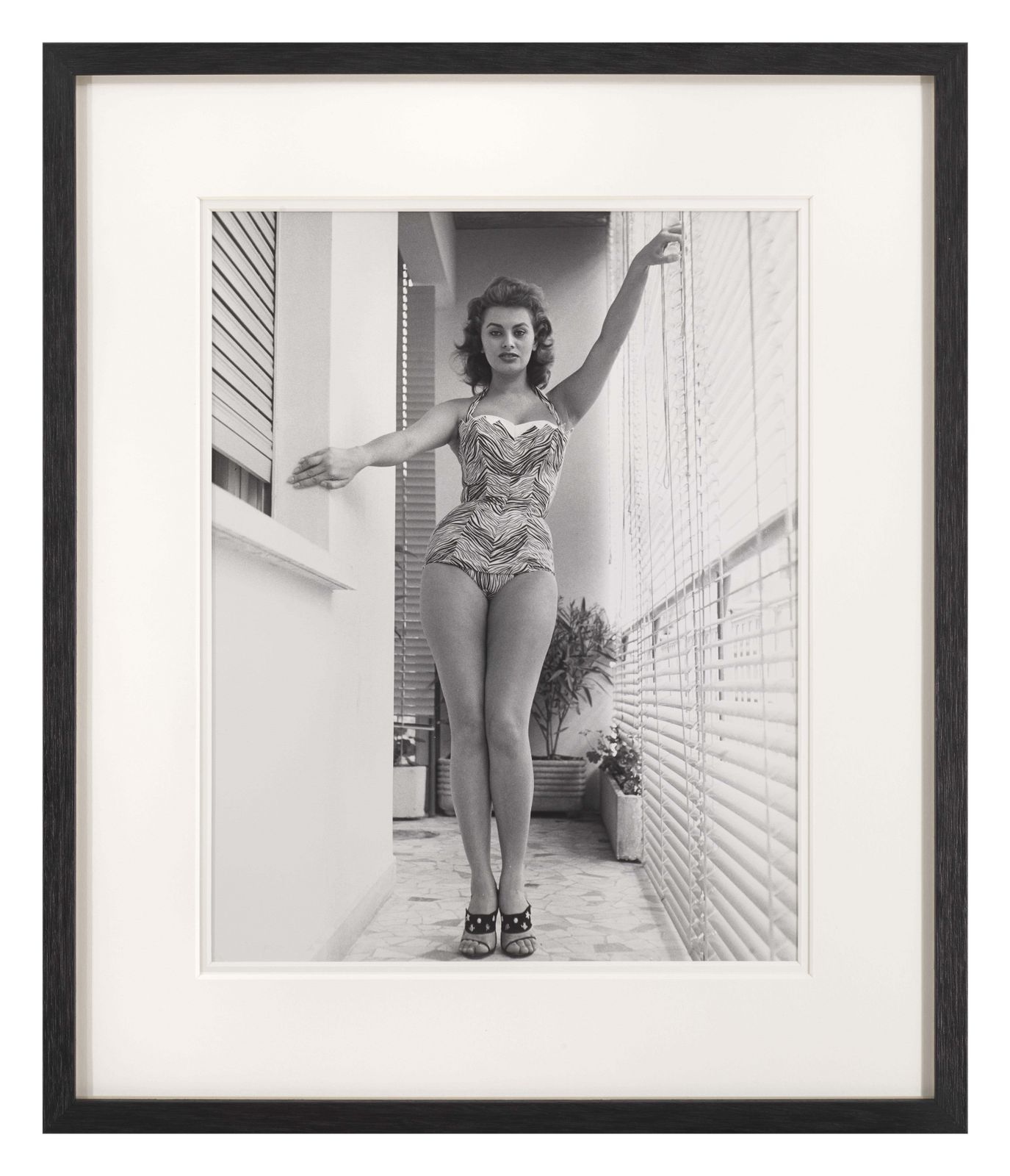 Sophia Loren photo Art