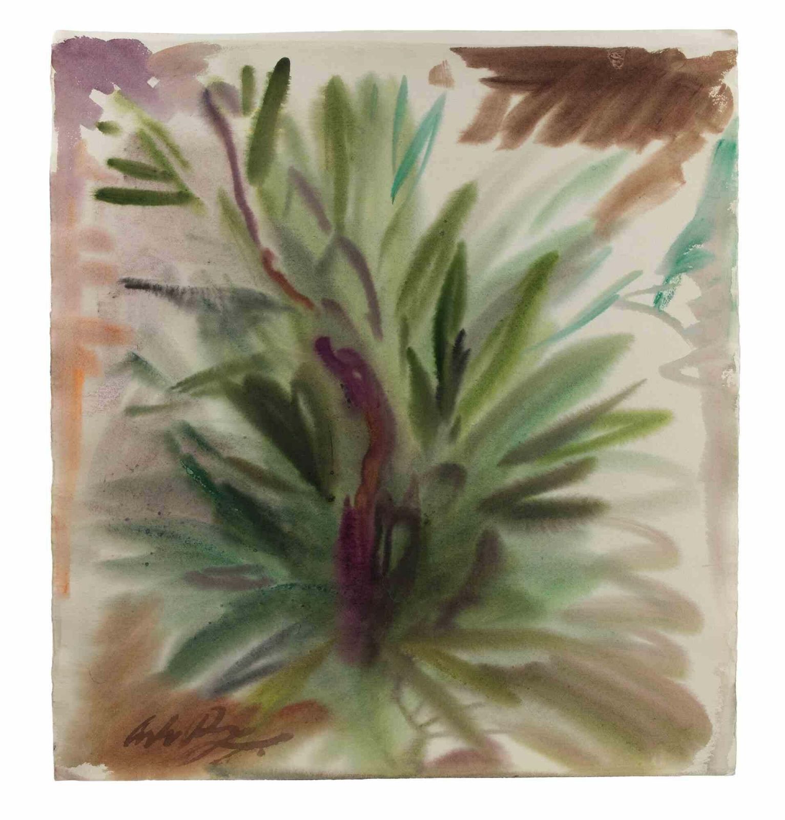 Carlo Ravagnanplant   Drawing By Carlo Ravagnan   1960s1960s photo for sale