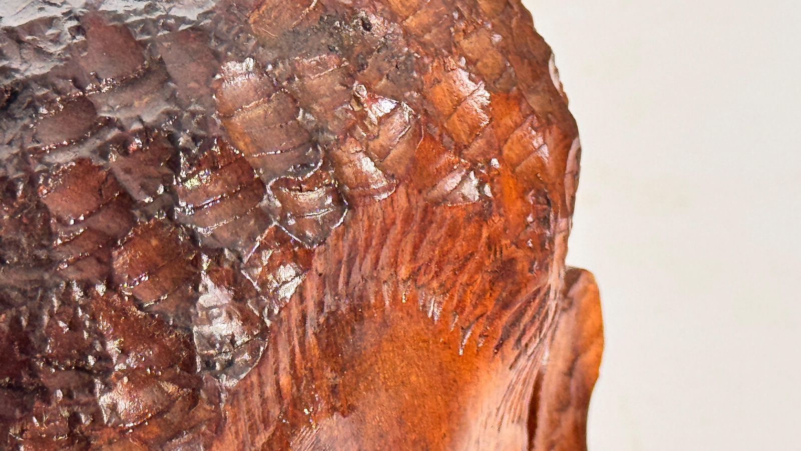 Art Hand Carved African Head Sculpture In Patinated Wood – Mid Century Decoration photo