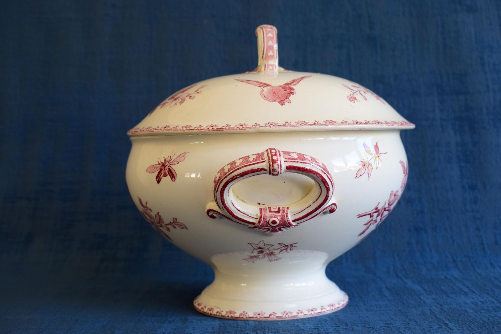 Sarreguemines Red Favori Soup Tureen, Antique French Birds Ironstone photo vinterior