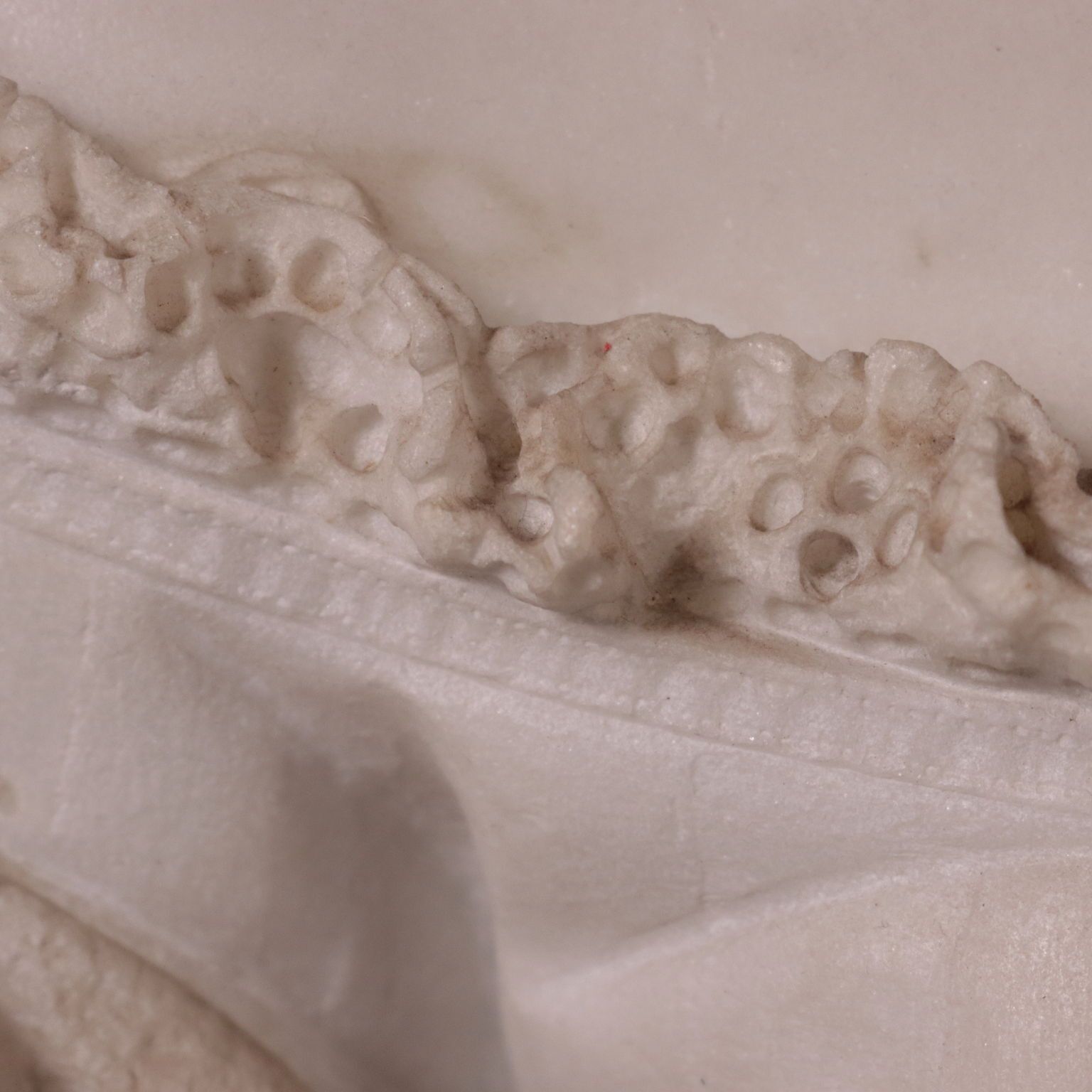 Bust Of A Woman White Carrara Marble Italy Second Half 19th Century photo buy