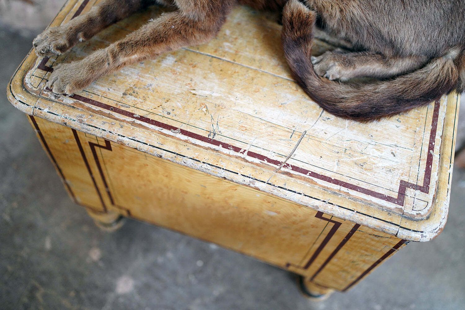 photo for sale An Early Victorian Birdseye Maple Simulated Painted Pine Commode C.1840 50