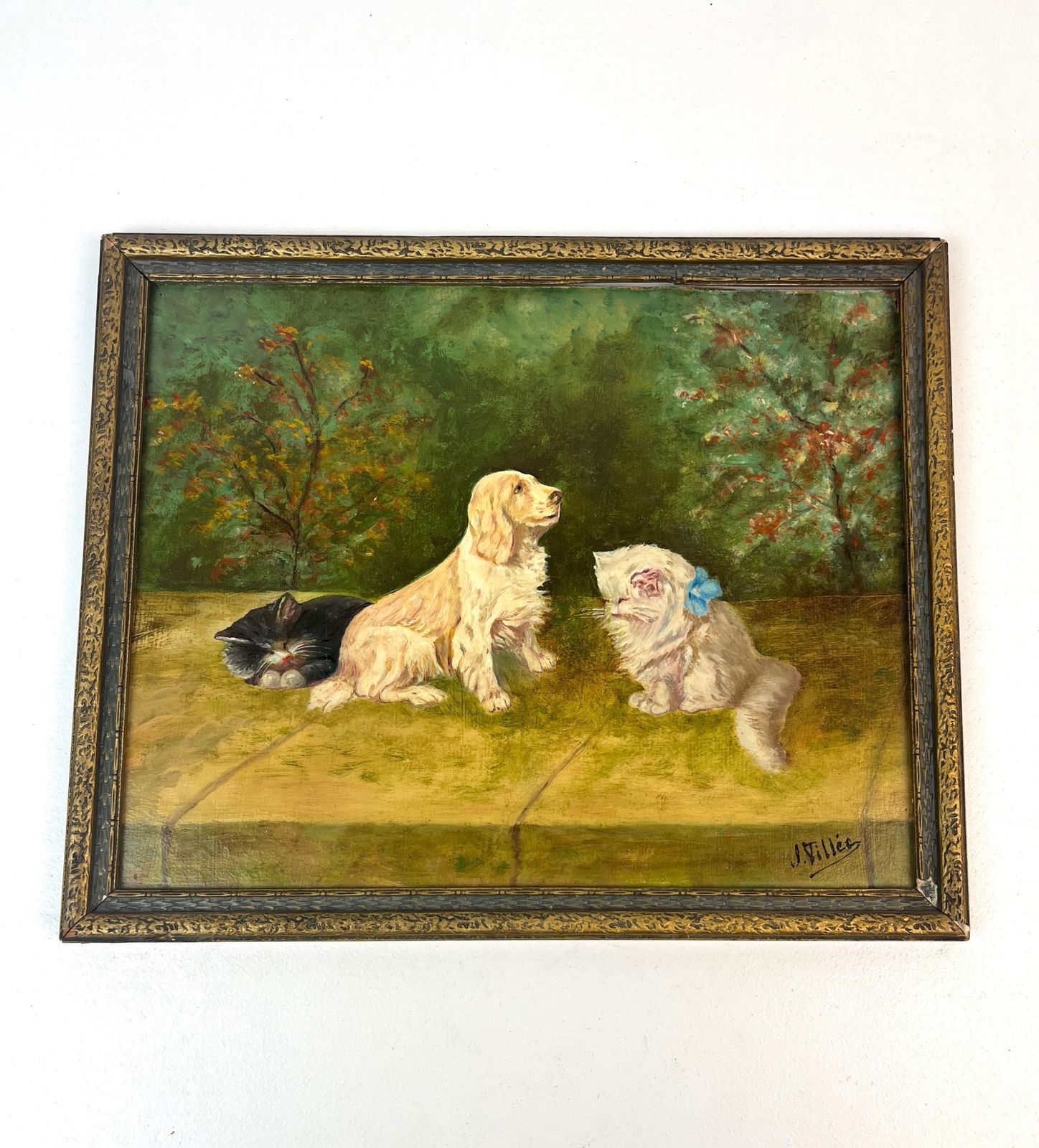 Beautiful Antique Cats And Dogs Oil Painting Signed By J. Villes Framed About 1920 photo buy