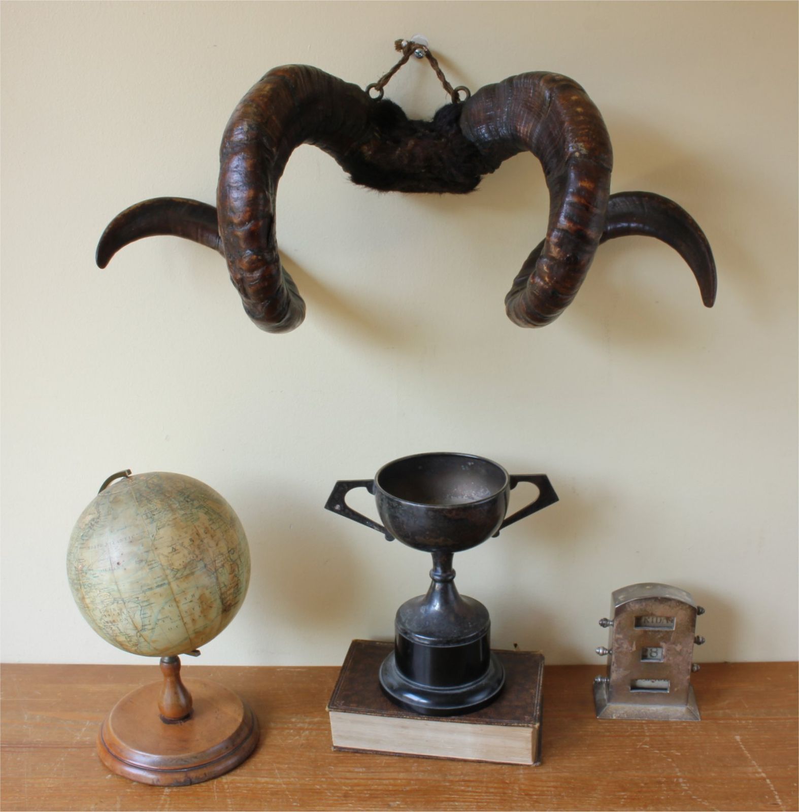 Antique Taxidermy Ram's Horns. Victorian Wall Hanging Male Sheep Horn. photo vinterior