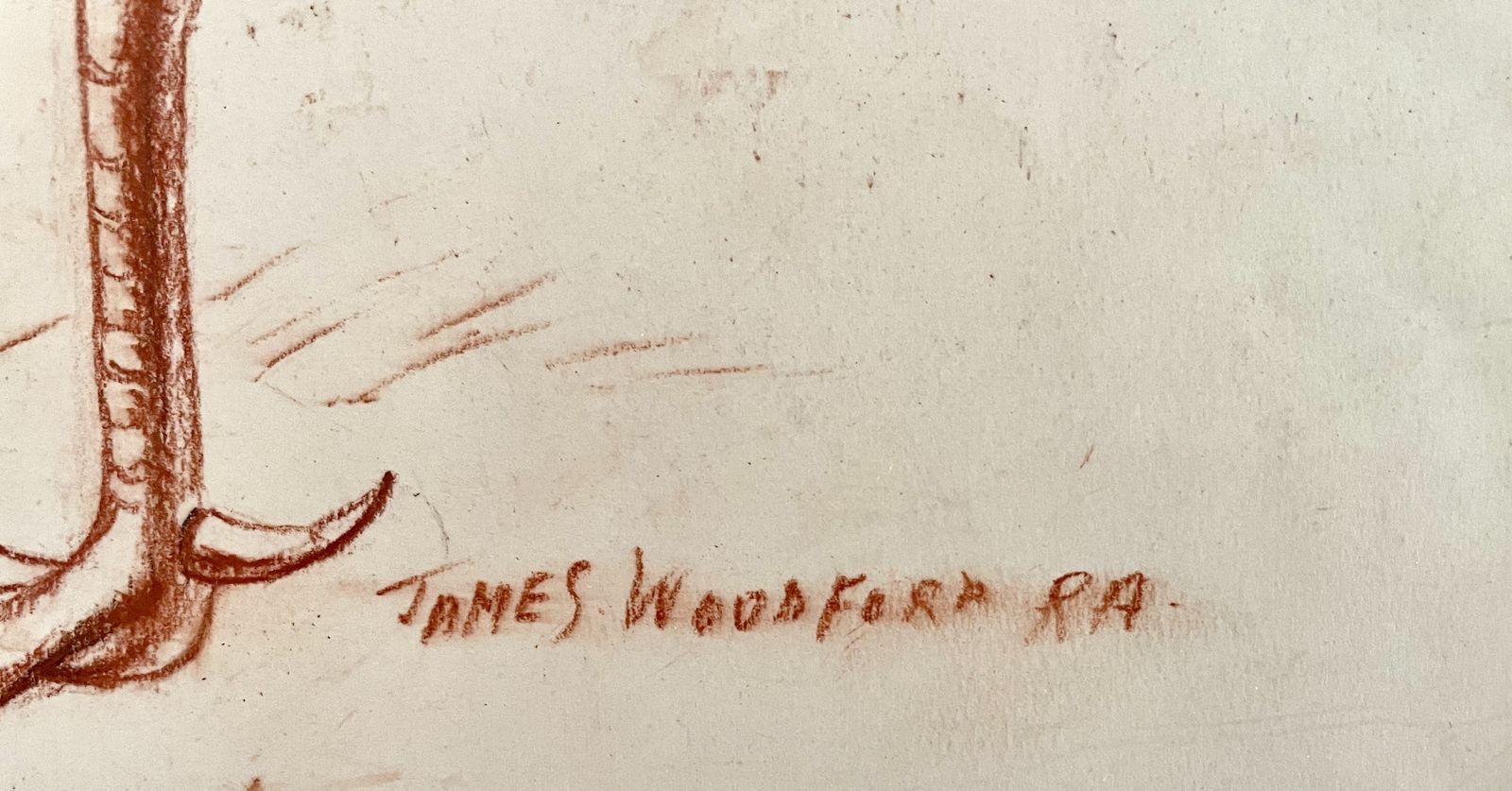 James Woodford   Cockerel   20th Century Red Chalk Drawing photo Art