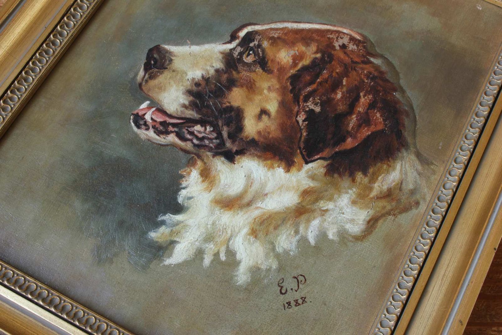St Bernard Oil Painting On Canvas. Victorian Dog Portrait. Framed. 1888 photo buy