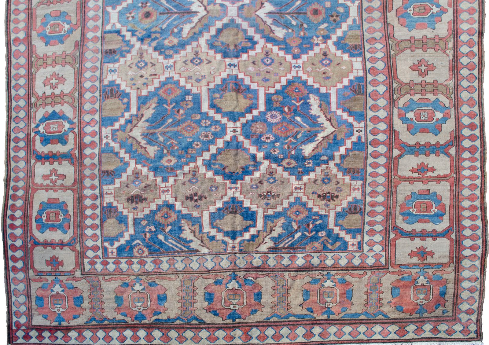 Antique Bakhshyayesh Carpet 490x347cm photo buy